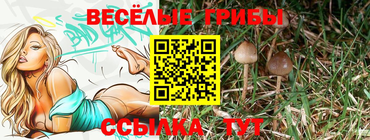 Калуга  Псилоцибиновые грибы MAGIC MUSHROOMS  Вход с VPN 